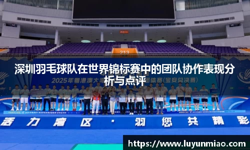 深圳羽毛球队在世界锦标赛中的团队协作表现分析与点评