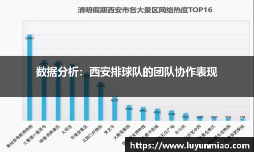 数据分析：西安排球队的团队协作表现